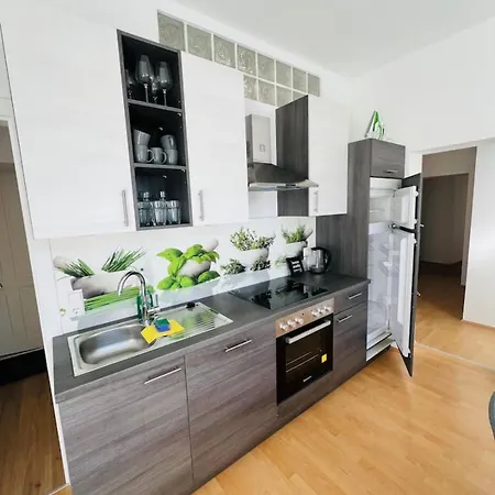 Living Leoben Rebuli - In 2 One Apartament *